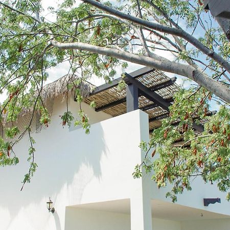 Vista La Ribera Hotel Ngoại thất bức ảnh